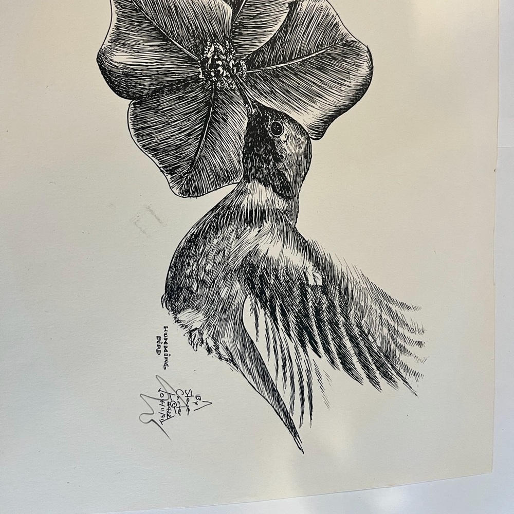 Hummingbird Art Print – Signed Ink Drawing by Canadian Artist Steve A. Carter